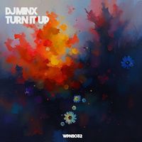 DJ Minx - Turn It Up (Explicit)