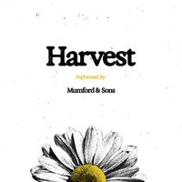 Mumford & Sons - Harvest