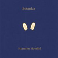 Botanica - Hummus Houdini