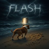 Walton - Flash