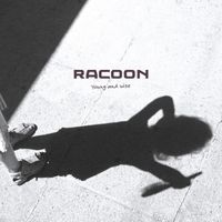 Racoon - Young and Wise