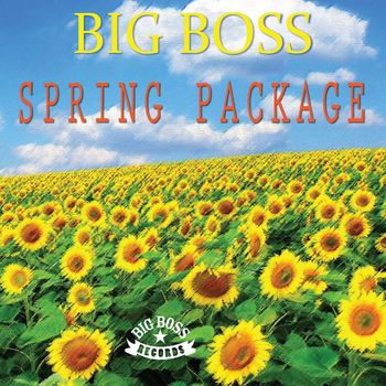 Various Artists - Spring Package