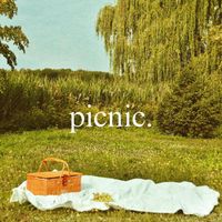 PAAX - PICNIC