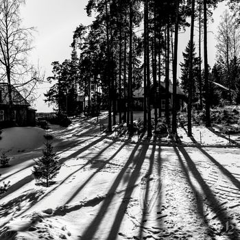 Quiet Wanderer - Glimmer