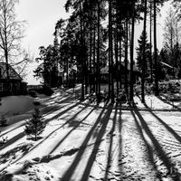 Quiet Wanderer - Shadow