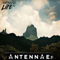 ANTENNAE - Moorea ANTENNAE