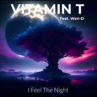 Vitamin T - I Feel the Night