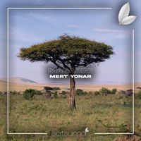 Mert Yonar - Magarini