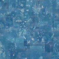 Proximate - Proximate