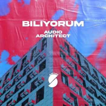 Audio Architect - Biliyorum