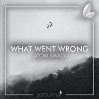 Atom Swag - What Went Wrong