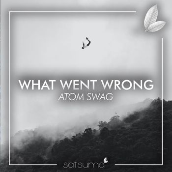 Atom Swag - What Went Wrong