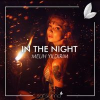 Melih Yıldırım - In the Night