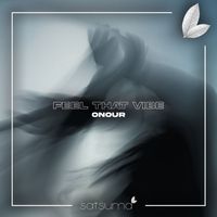 ONOUR - Feel That Vibe