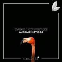 Aurelien Stireg - Work of Peace