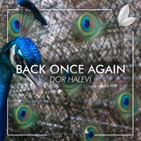 Dor Halevi - Back Once Again