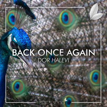 Dor Halevi - Back Once Again