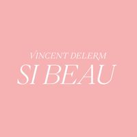 Vincent Delerm - Si beau