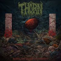 Thorn - Quartersawn Remains
