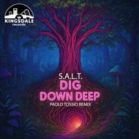 S.A.L.T. - Dig Down Deep (Explicit)