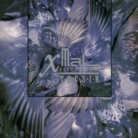 Xmal Deutschland - Tocsin (2025 Remaster)
