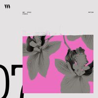 Space Motion - Hybrid