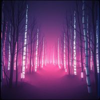 The Last - Clouded Windows