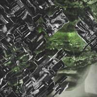 Infirme Infini - Mycoplasma