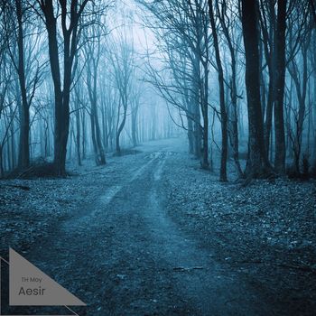 TH Moy - Aesir