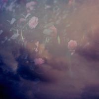 Lake Night - Dream Out