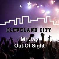 Mr Jay - Out of Site