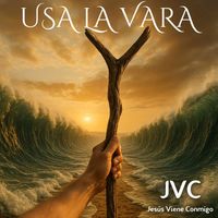 JVC - Usa la vara