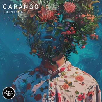 Carango - Chestnut