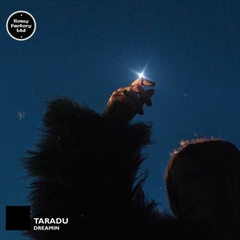 Taradu - Dreamin
