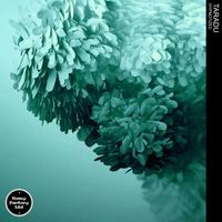 Taradu - Hypnotized