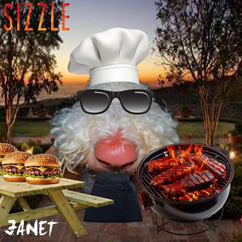 janet - Sizzle
