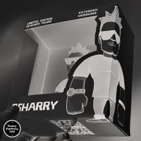 Bsharry - Limited Edition Designer Figure (Extended Versions)