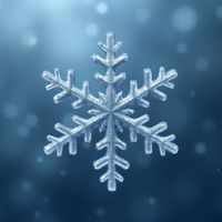 Schizoid - Flight of the Firebird