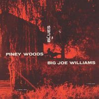Big Joe Williams - Piney Woods Blues (2021 Digitally Remastered)