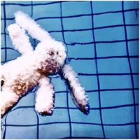 Murder Maids - Waste Away