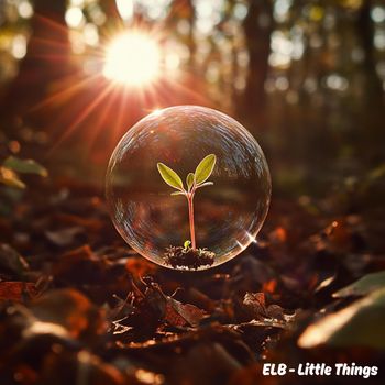 ELB - Little Things
