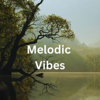 Night Stims - Melodic Vibes