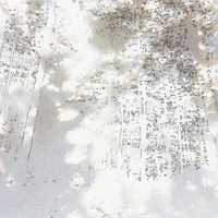 HCY - 關於你出席的痕跡