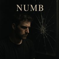 lyricluminaryjj - Numb