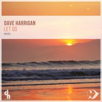 Dave Harrigan - Let Go