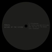 Marcal - Nature Of The Future