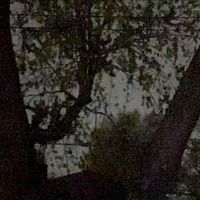 EMORY - Walls (Explicit)