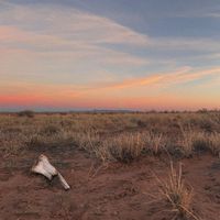 Nick Keller - American Southwest