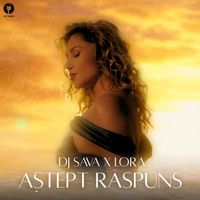 Dj Sava - Aștept răspuns