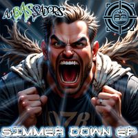 AmBASSadors - Simmer Down